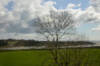 DSC_7213 (Large).JPG